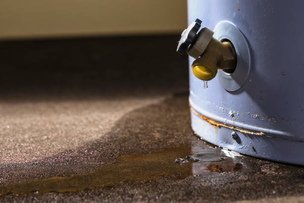  Seneca, MO Water damage restoration Pros