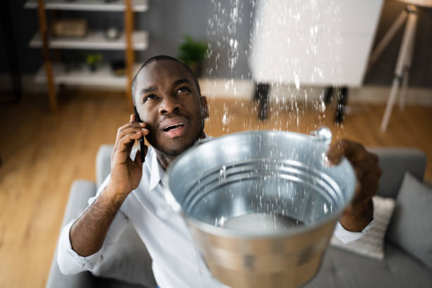 Best 24/7 water damage repair  in Seneca, MO