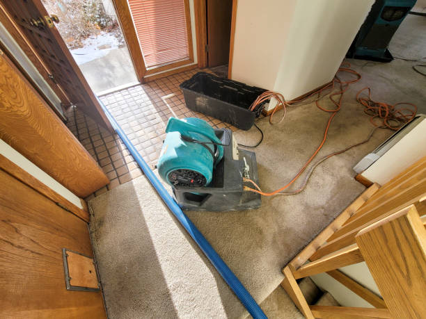 Best Residential water damage restoration  in Seneca, MO