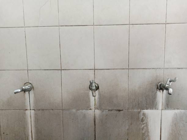 Best Basement water damage restoration  in Seneca, MO